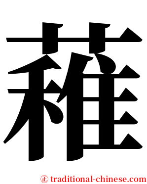 䕌 serif font