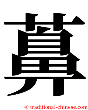 䕗 serif font