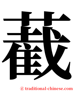 䕙 serif font