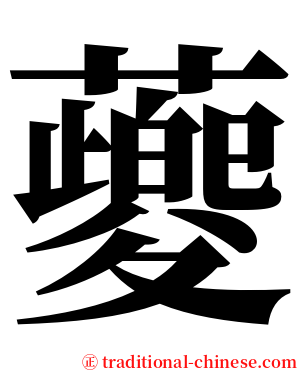䕫 serif font