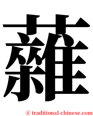 䕹 serif font