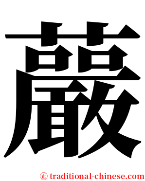 䕾 serif font