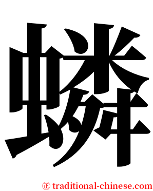 䗲 serif font