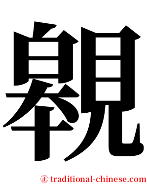 䚌 serif font
