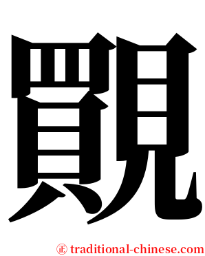 䚑 serif font