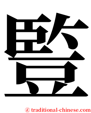 䜿 serif font