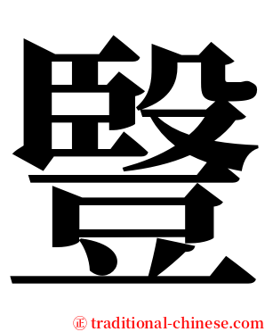 䝂 serif font