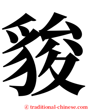 䝜 serif font