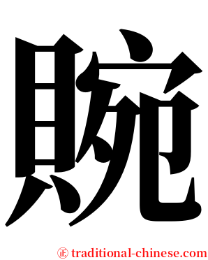 䝹 serif font