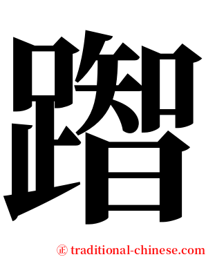 䠦 serif font