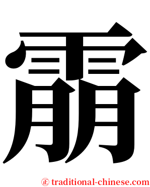 䨜 serif font
