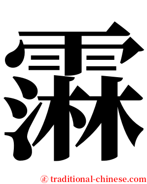 䨬 serif font