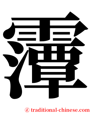 䨵 serif font