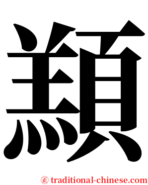 䫞 serif font