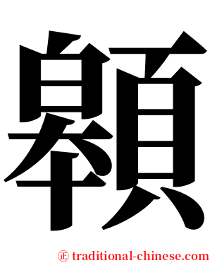 䫧 serif font