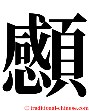 䫲 serif font