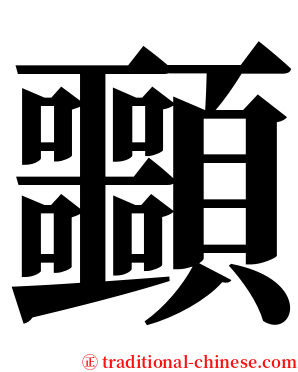 䫷 serif font
