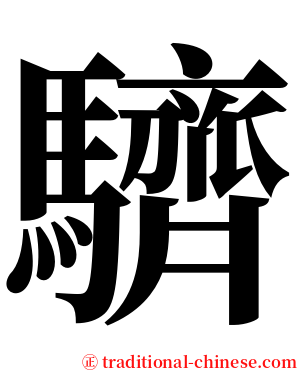 䮺 serif font