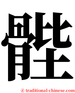 䯗 serif font