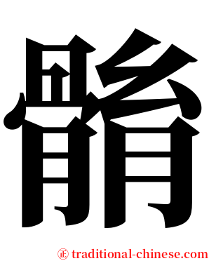䯚 serif font