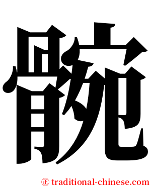 䯛 serif font