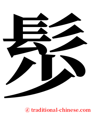 䯯 serif font