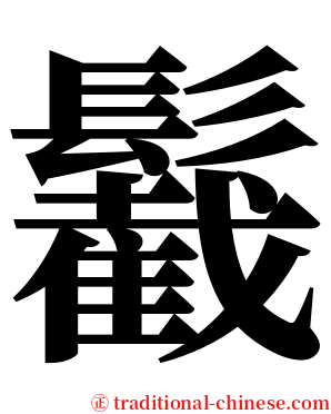 䰏 serif font