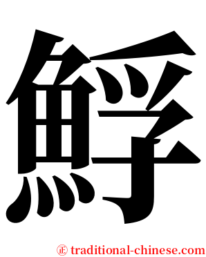 䱐 serif font
