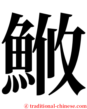 䱔 serif font