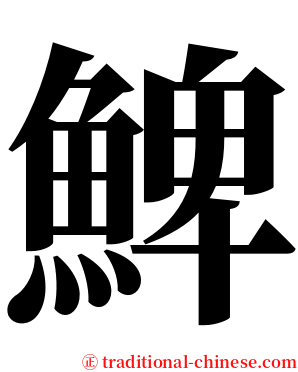 䱝 serif font