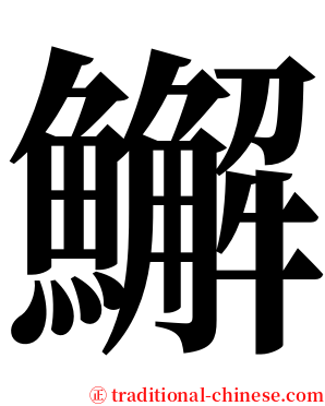 䲒 serif font