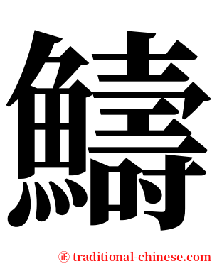 䲖 serif font