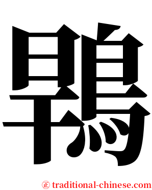 䳚 serif font