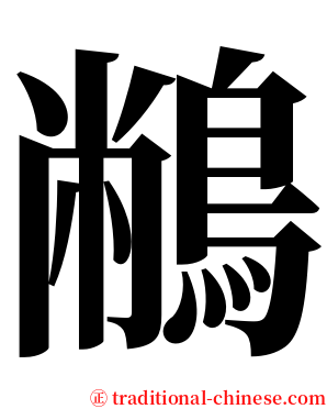 䳤 serif font