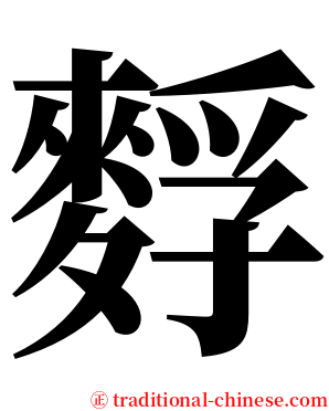 䴸 serif font