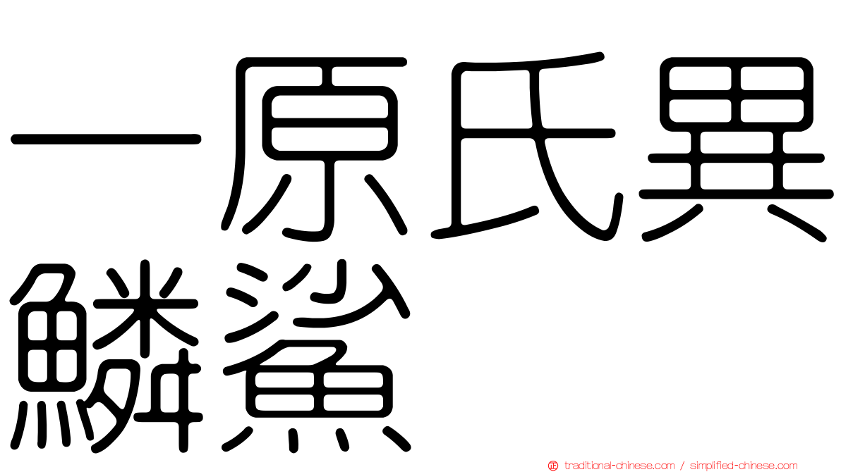 一原氏異鱗鯊
