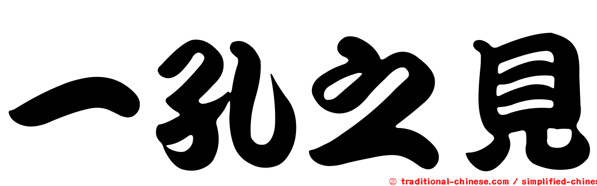 一孔之見