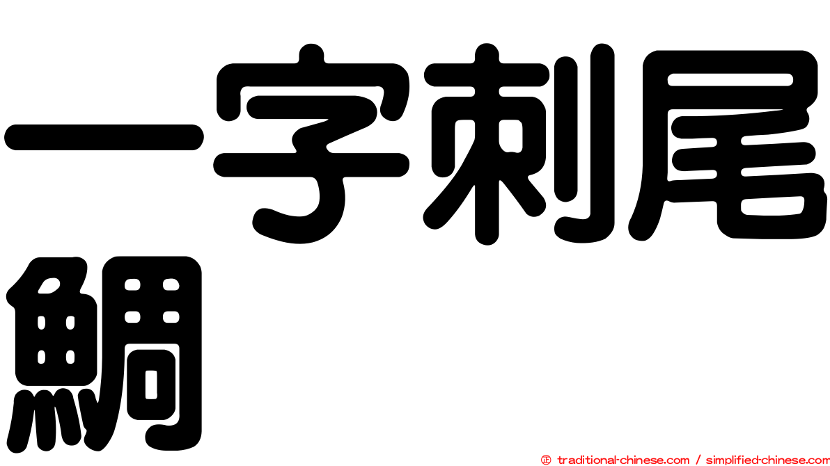 一字刺尾鯛