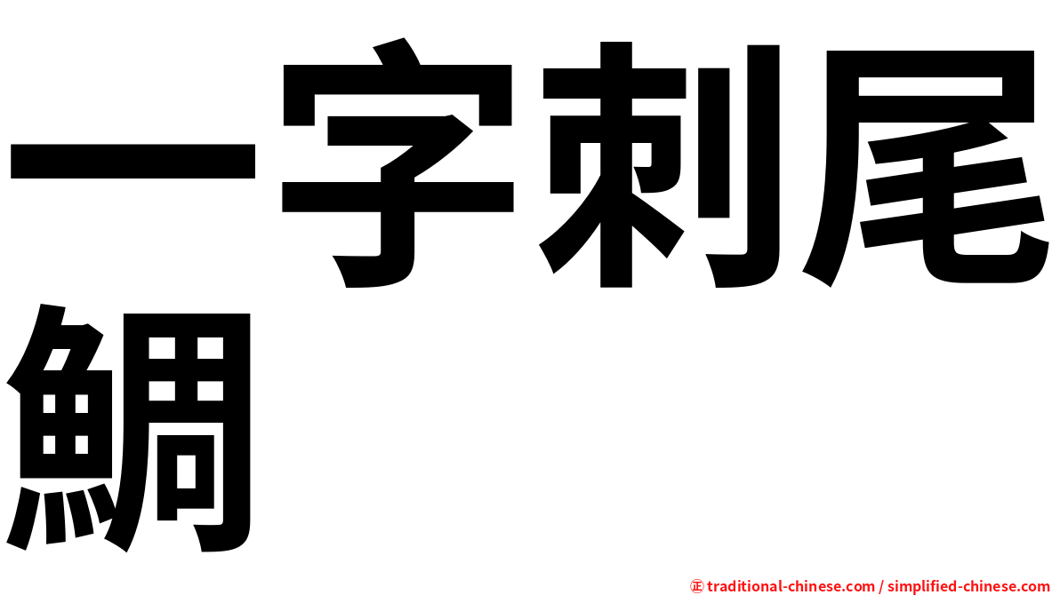 一字刺尾鯛