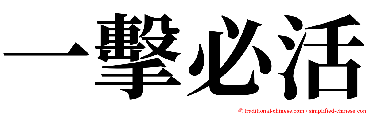一擊必活 serif font