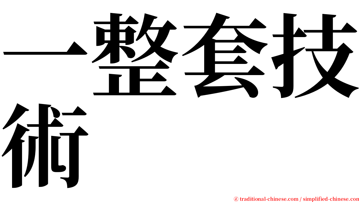 一整套技術 serif font