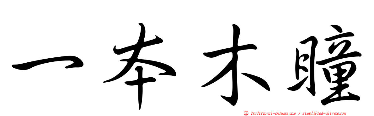 一本木瞳