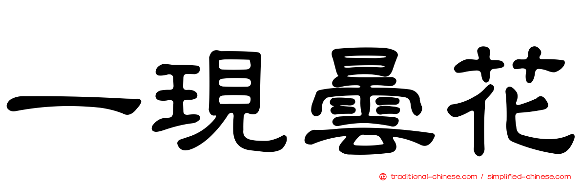 一現曇花