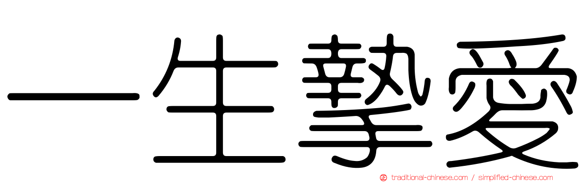一生摯愛