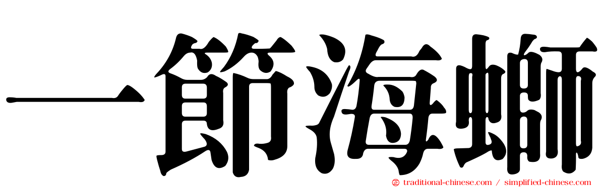 一節海螄