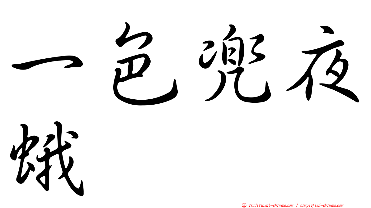 一色兜夜蛾