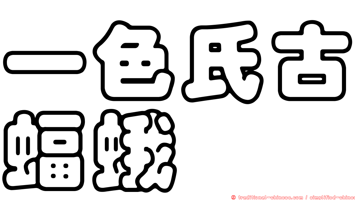 一色氏古蝠蛾