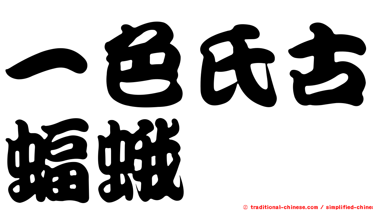一色氏古蝠蛾