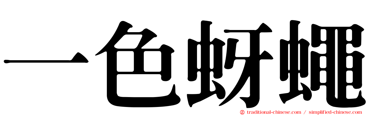 一色蚜蠅