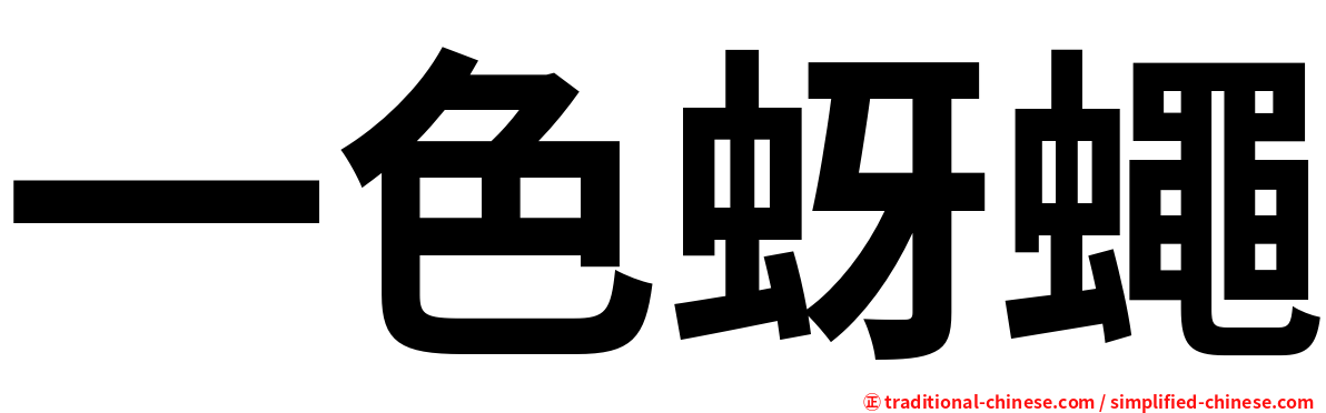 一色蚜蠅